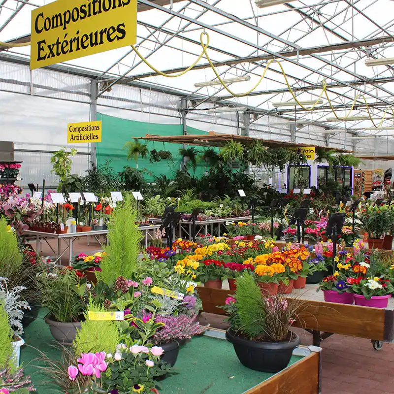 Horticole Nicolas Bailly, jardinerie – horticulture